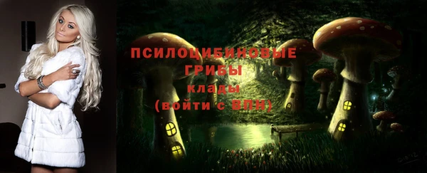 гашиш Богданович