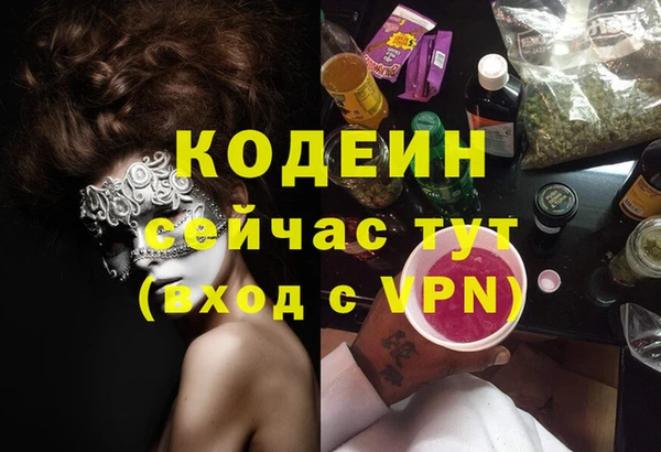 гашик Богородск
