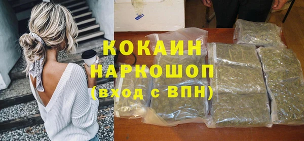 гашик Богородск