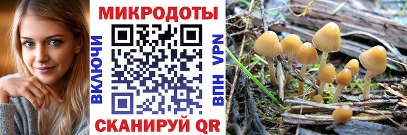 Псилоцибиновые грибы MAGIC MUSHROOMS  Егорьевск 